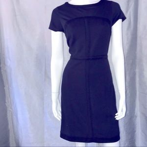 ANN TAYLOR PETITE | Career Navy Knit dress w/ Black trim